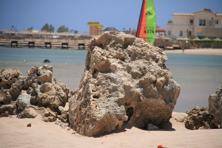 Vakantie Egypte 2010-74.jpg